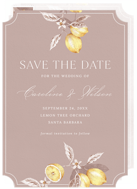 'Citrus Limon' Wedding Save the Date